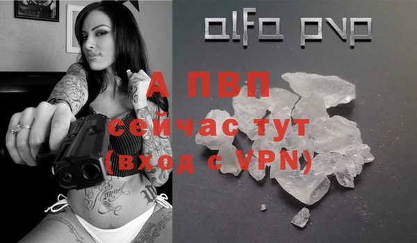 эйфоретик Баксан