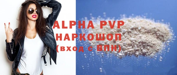 молекула духа Новодвинск