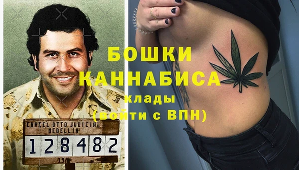 молекула духа Новодвинск
