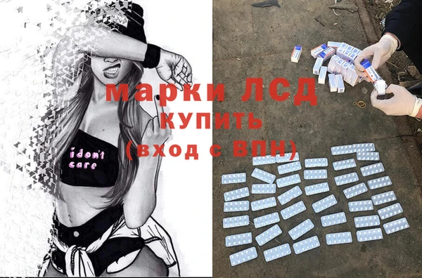 молекула духа Новодвинск