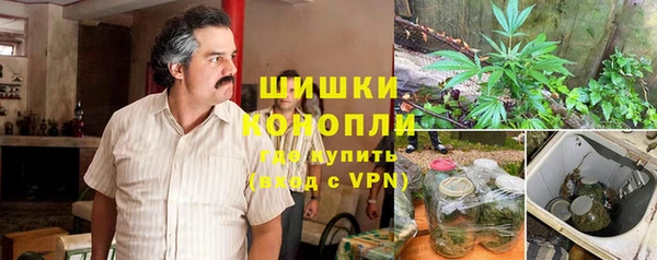 ГАЛЛЮЦИНОГЕННЫЕ ГРИБЫ Балахна