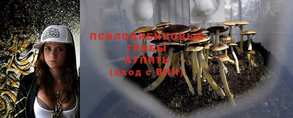 каннабис Новокубанск