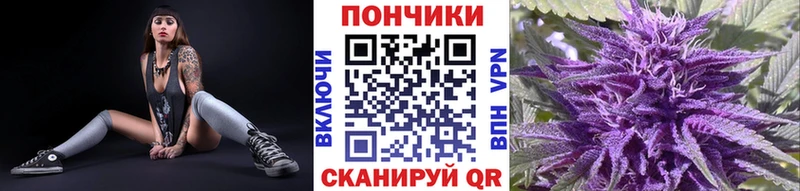 Конопля семена  купить наркотики сайты  Шарыпово 